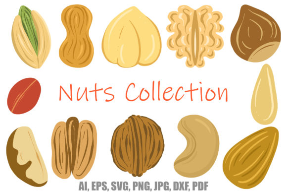 Collection Nuts and Seeds Brazil Walnut: A Premium Graphic Design Asset for Local Businesses