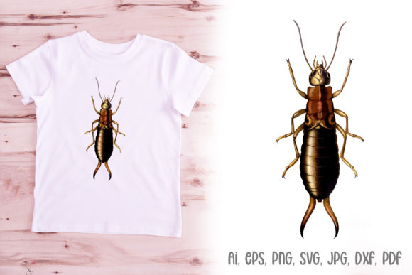 Earwig Insect Illustration Logo Design Review