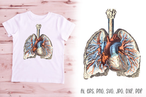 Lungs Illustration Anatomy Logo Design: A Powerful Graphic for Blog and Editorial Use